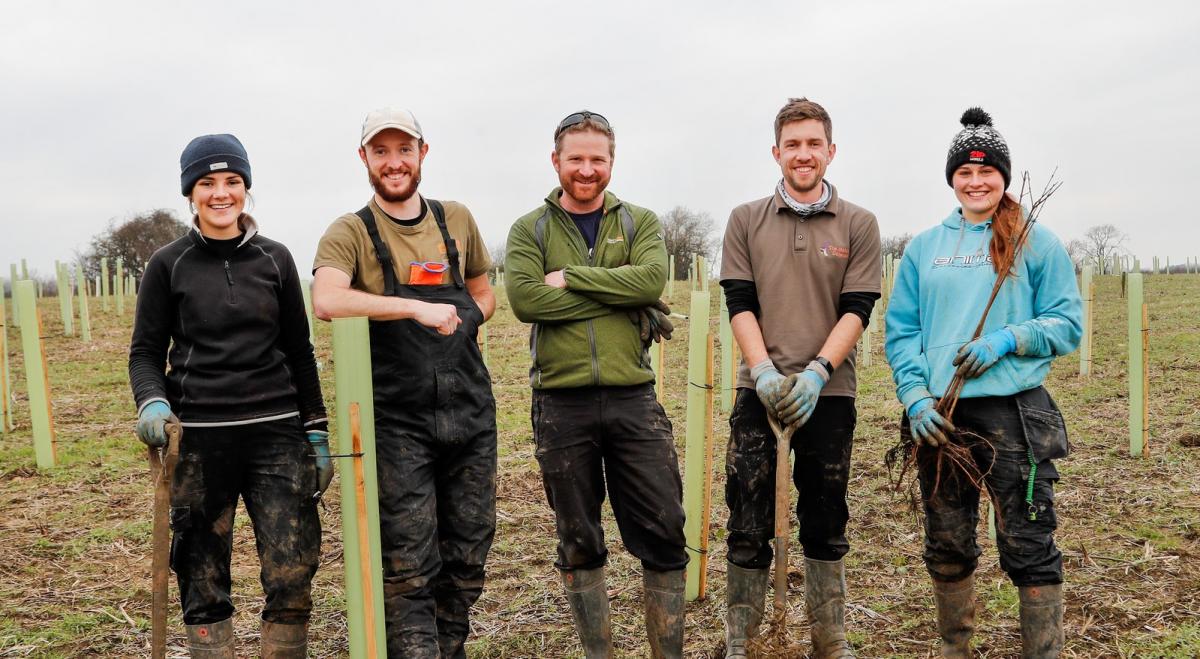 Five members of the forestry team standing side by side in a field full of newly planted trees