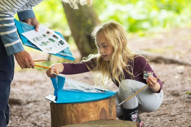 Young blond girl looking getting a pencil out of a clipboard next to a tree stump seat.